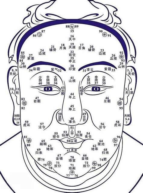 法令紋圖解|《麻衣神相》白话图解【相 法令纹】34种法令纹运势